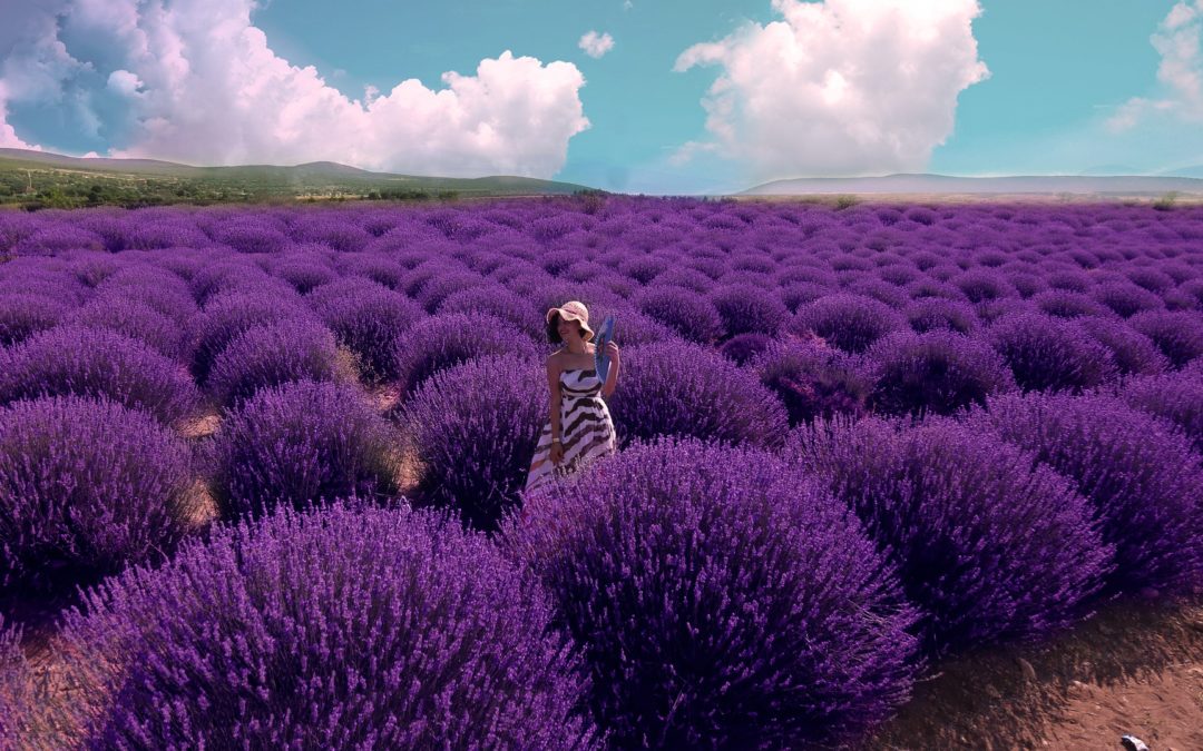 Fialová Barva – Trendy Ultra Violet v módě, líčení i parfémech